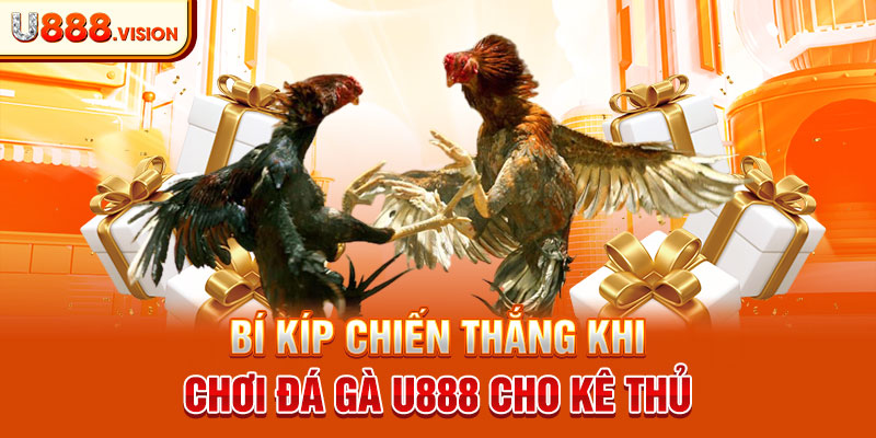 Bí kíp chiến thắng khi chơi đá gà U888 cho kê thủ